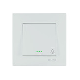 کلید و پریز دلند مدل آسا